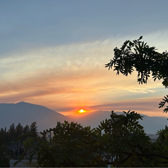 things - Picture 1 of 1